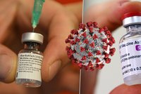 Zabere očkování na nové mutace viru? Vakcína se dá rychle pozměnit, uklidňují vědci