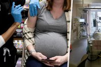 Těhotné ženy nakažené covidem končí v nemocnici dvakrát častěji než loni. Co za tím stojí?