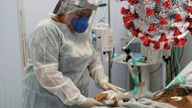 Koronavirus ONLINE: 198 případů za úterý v ČR. V nemocnicích je 147 lidí