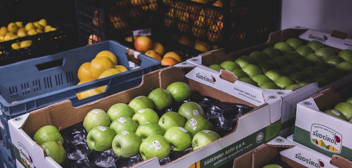 Pohled do budoucnosti nakupování potravin / The Future of Grocery Shopping