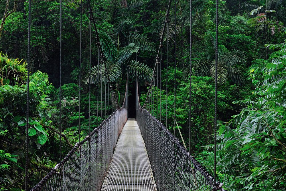Jedna z visutých lávek nad džunglí v parku Mistico Arenal Hanging Bridges