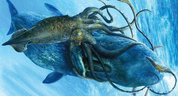 Monstrum z hlubin odhaleno: Luštění Krakenova genomu