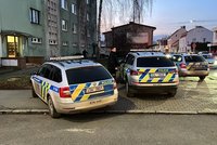 Muž chodil po domě se zbraní v ruce: Do Kralup nad Vltavou musela zásahová jednotka