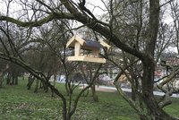 Lidé pomáhají ptákům v Praze. Sami i organizovaně jim budují krmítka