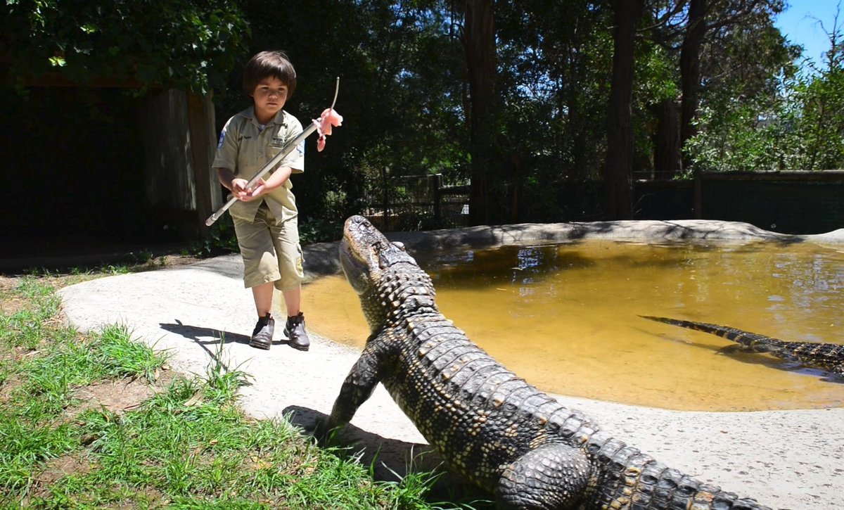 Australský klučina Charlie Parker (8): Kdepak do školy, já krotím aligátory! 