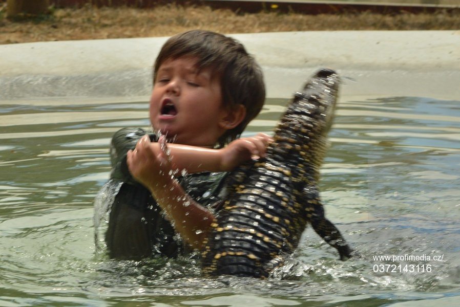 Australský klučina Charlie Parker (8): Kdepak do školy, já krotím aligátory! 