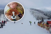Kubík se zranil při pádu na sjezdovce: Rodiče poslali krásný vzkaz horskému záchranáři