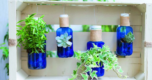 Všestranný plast. Ze starých barevných PET lahví a zeleninové bedýnky můžete vytvořit zajímavý rostlinný obraz.