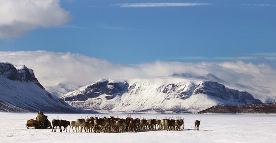 Fotoreportáž Františka Zvardoně: Sámové, kočovníci severských plání