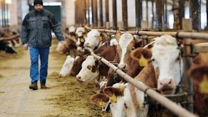Levné mléko a máslo rozdělilo výrobce a řetězce, přou se o ztráty. Nízké ceny ale nemusí vydržet dlouho