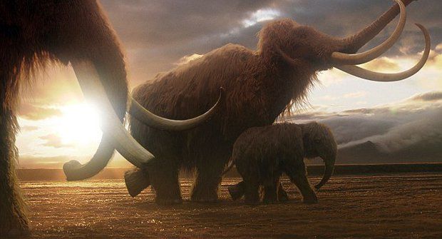 Dokážou vědci vzkřísit mamuty?