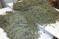 V Rakousku zatčeni 2 Češi: Chtěli prodat 27 kg marihuany!