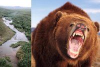 Muže terorizoval medvěd grizzly: Šelma útočila na nebožáka celý týden