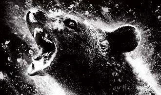 Medvěd na koksu má být brutální film inspirovaný skutečnou událostí. Tady je první trailer