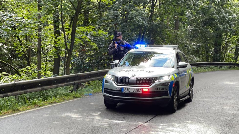 Středočeští policisté hledají v Břežanském údolí uprchlého medvěda. (23. srpna 2021)
