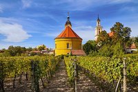 Bratislava a okolí: Krásná vína i „husacina“