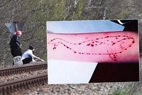 Pravda o sebevražedné hře Modrá velryba v Česku: Máme důkazy. Děti plní úkoly, tvrdí policie