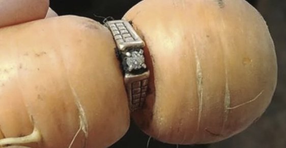 Žena našla ztracený snubní prsten. Byl zarostlý v mrkvi