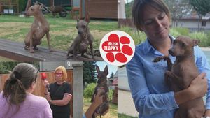 Naháči z chovatelské stanice za 35 000 Kč. Jeden nevyrostl, druhému se lámou kosti. Po chovatelce už jdou úřady