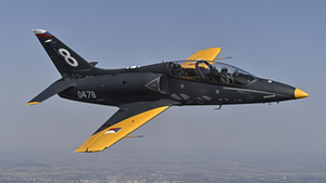 NATO by mohlo nasadit speciální letku proti dronům. Analýza ukázala na český letoun NATO by mohlo nasadit speciální letku proti dronům. Analýza ukázala na český letoun