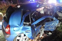 Mladý řidič narazil na Liberecku do stromu: Dva spolujezdci zemřeli
