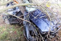 Tragédie na Vyškovsku, po nárazu do stromu zemřel řidič, tři spolujezdci museli do nemocnice