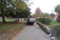 Řidič v Klatovech srazil chodce a začal ujíždět: Auto převrátil v parku na střechu