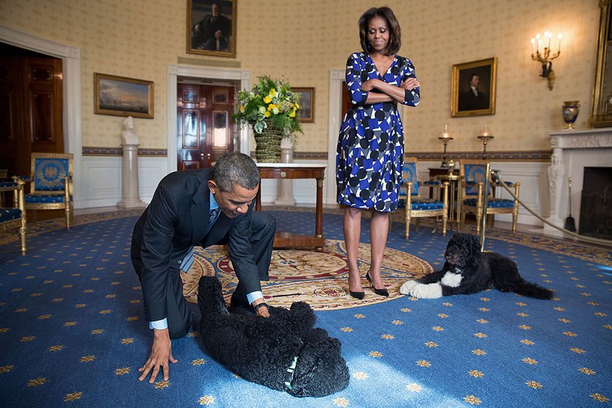 Prezidentský pár si pořídil dva psy. Jmenují se Sunny a Bo.