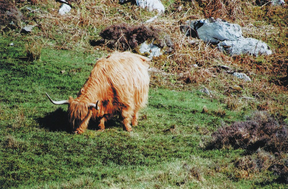 Ostrov Skye je největším v sérii ostrovů Vnitřních Hebrid