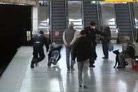 Agresivní pes ohrožoval v metru cestující, majitel byl namol. Strážníci tam náhodou našli i hledaného mladíka (17)