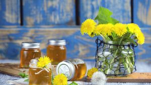 Uvařte si pampeliškový med se zázvorem, chutná skvěle a má léčivé účinky
