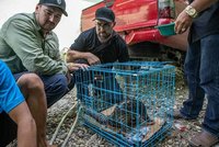 Chamtivec v Indonésii pytlačil vzácná zvířata: Odhalili ho ochránci z Ostravy a Liberce