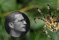 Pavouci by mohli sežrat do roka celé lidstvo, tvrdí studie. Na metru jich žijí stovky