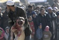 Teroristy to nekončí: Obyvatele Kábulu sužují i útoky zlodějů a agresivních psů