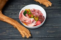 Chuť, která může psy zabít: Těchto 8 potravin do misky nepatří!