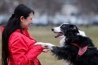 Nejlepší přítel člověka umí rozlišit „páníčkův“ jazyk od jiného, tvrdí studie o psech