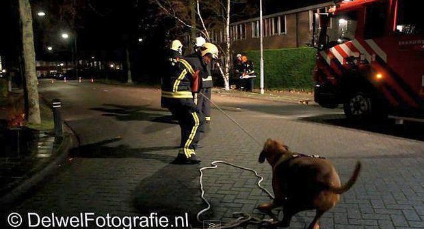 Dobrovolný psí hasič v akci