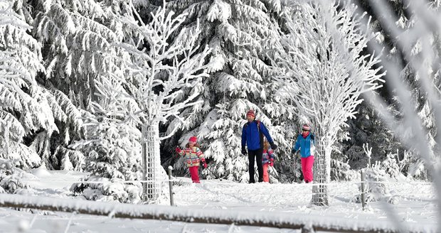 Zima v Česku (prosinec 2021)