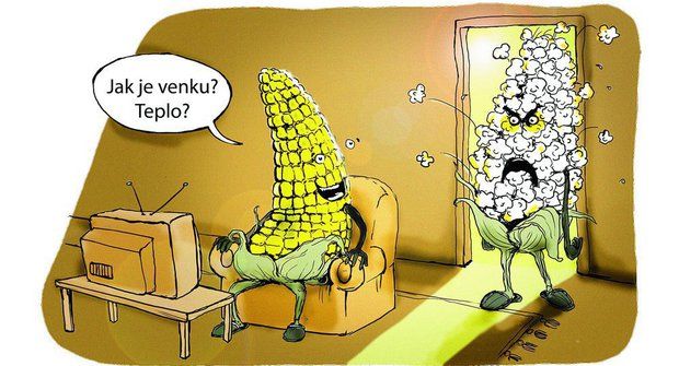 Džouk týdne: Co dělá kukuřice, když je vedro? Puká zlostí