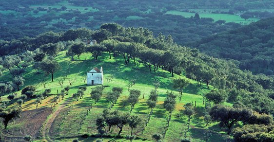 Duben v Alenteju: Jarní toulky portugalským regionem v nejkrásnějším a nejpestřejším období v roce