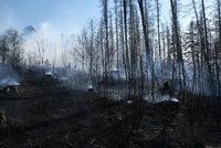 U Ralska hořel les: Byl vyhlášen druhý stupeň požárního poplachu