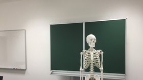 Skandální zjištění na Karlově univerzitě: Docent anatomie obtěžoval studentky, dostal výtku