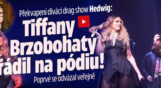 Překvapení diváci drag show Hedwig: Tiffany Brzobohatý řádil na pódiu! Poprvé se odvázal veřejně   