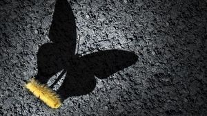 Proč je těžké poznat, že děláme pokroky? Naše paměť i pocity nás klamou Proč je těžké poznat, že děláme pokroky? Naše paměť i pocity nás klamou