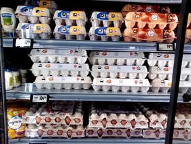 Proč jsou vejce v Česku tak drahá?! Zemědělci: My jsme zdražili jen o korunu