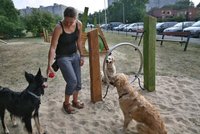 Novinka pro majitele psů v Praze: Brzy nebudou muset kvůli poplatkům na radnici, vše vyřídí přes internet
