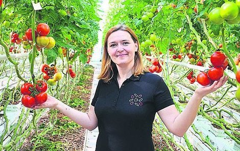 Monika Zábojníková kontroluje kulatá rajčátka jménem Střapáček.