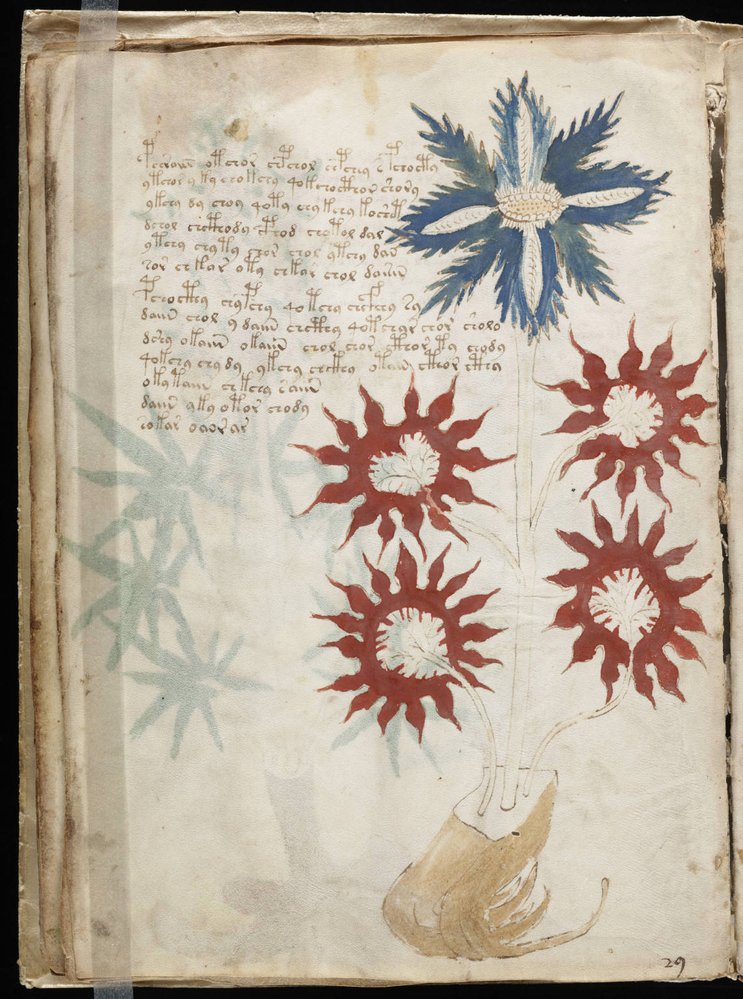 Originál Voynichova rukopisu obsahující tajemné písmo.