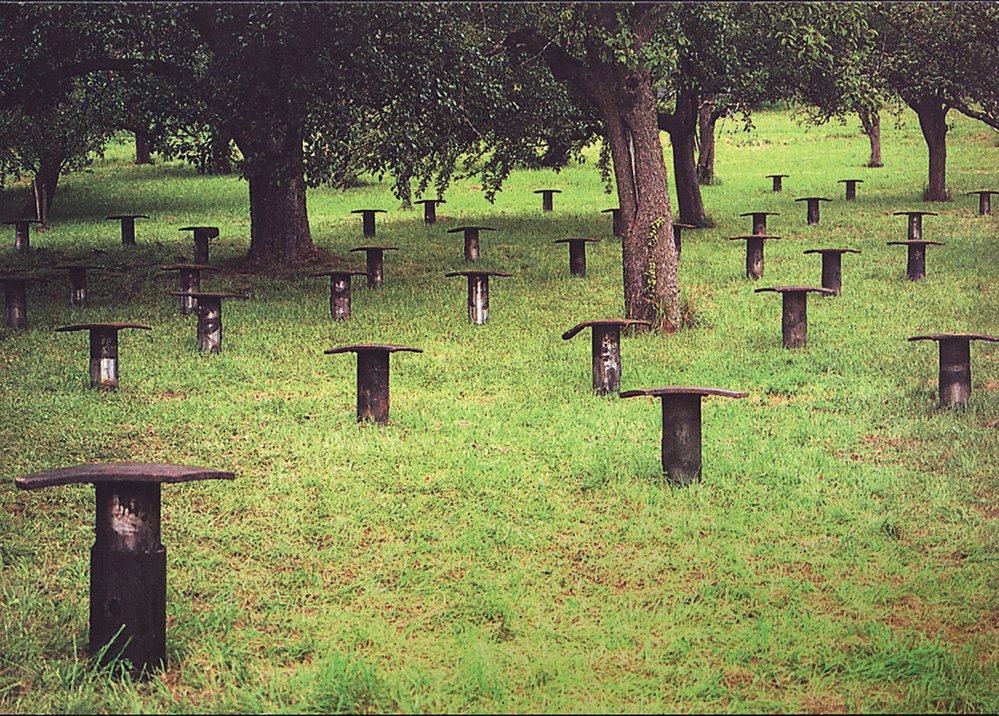 Zvláštní houbařská sestava (1990/2002) 50 vagónových nárazníků, výška 50 cm, plocha 3600 m2 Hofgut Hohenkarpfen (Německo), 2002