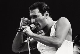 Freddie Mercury: Odkaz slavného rockového zpěváka stále „pracuje“. A&nbsp;nijak to …